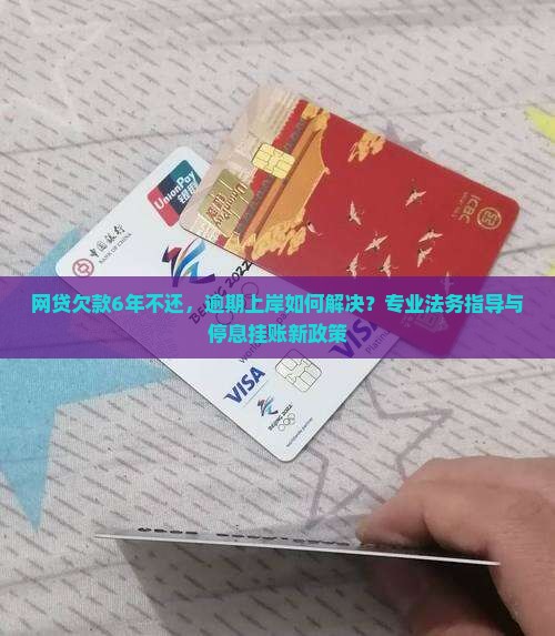 网贷欠款6年如何处理