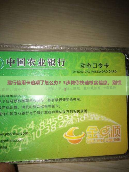 建行信用卡逾期核实信息该怎么办