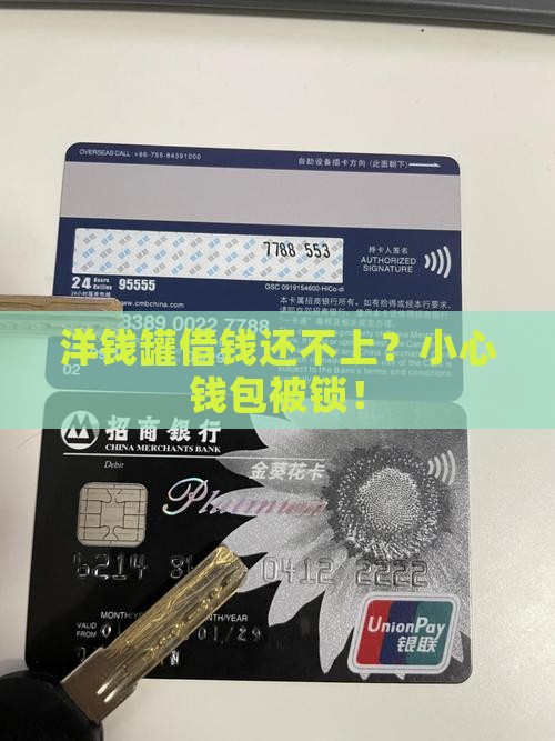 洋钱罐借款逾期会被冻结吗