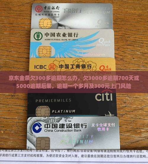 京东金条欠300多逾期怎么办