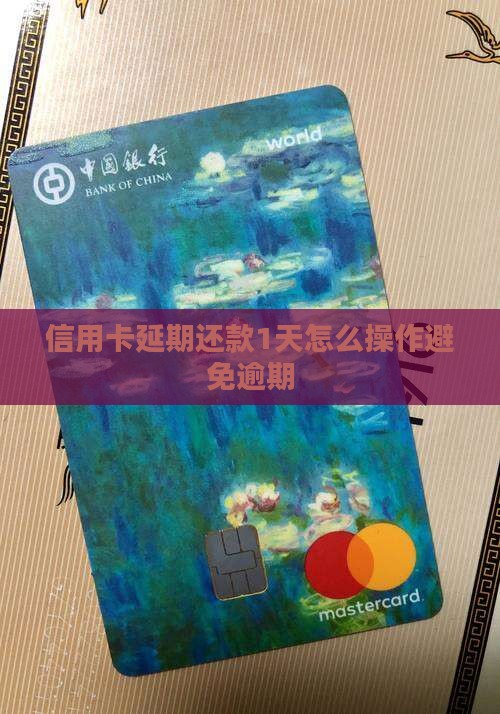 信用卡延期1天还款如何操作