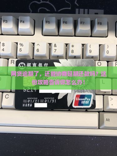 网贷逾期协商延期还款攻略如何操作