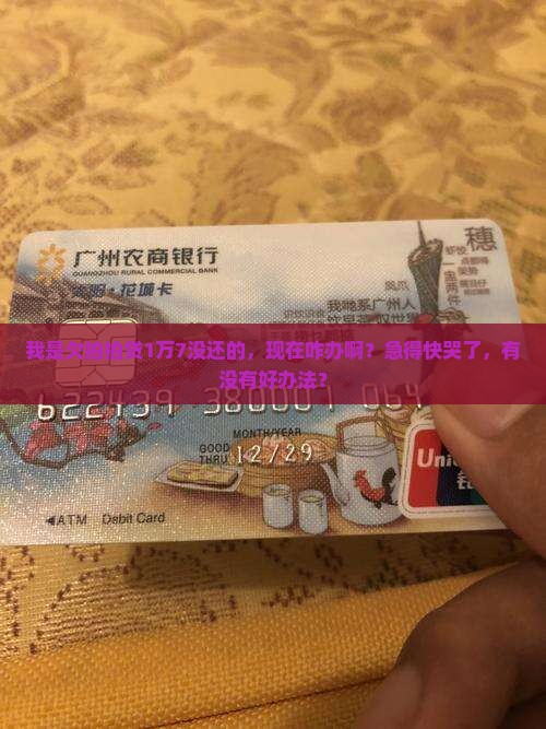 欠拍拍贷一万七没还如何处理