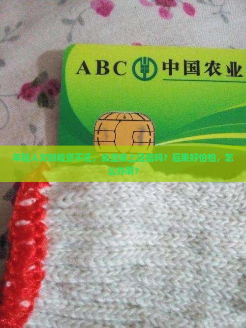 欠微粒贷不还会上征信吗