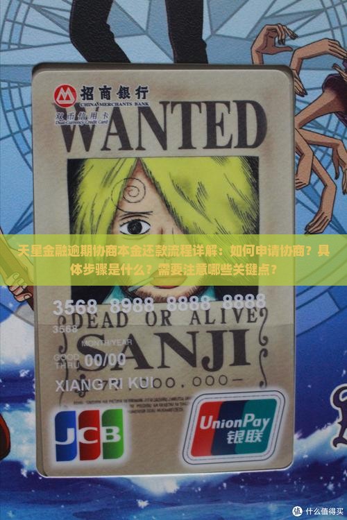 天星金融逾期协商本金还款流程详解