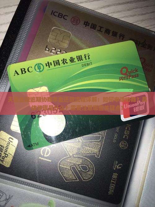 天星金融逾期协商本金还款流程详解