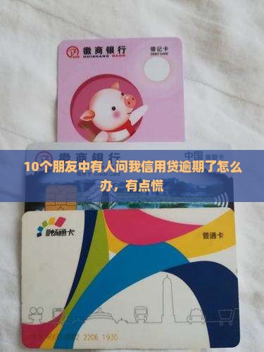 阳光信用贷逾期会怎样处理