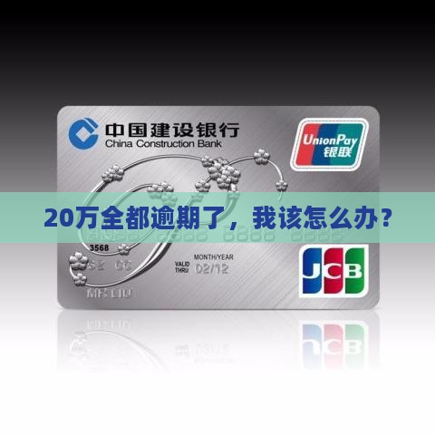 20W全部逾期如何处理