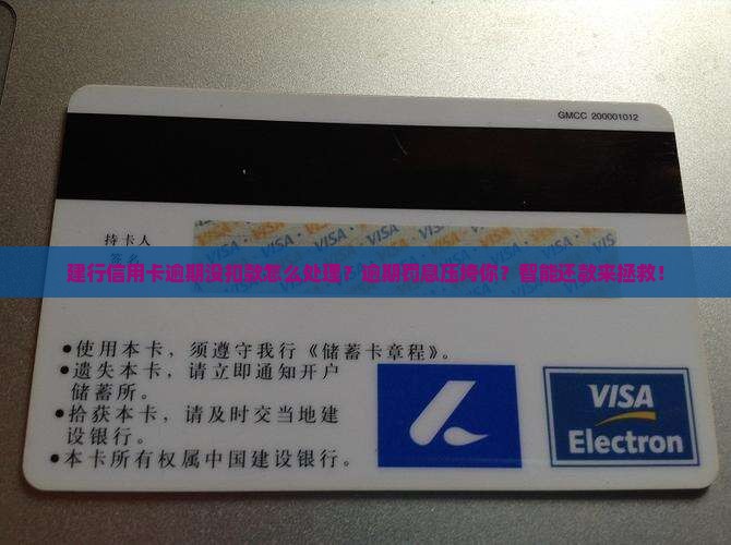建行信用卡逾期没扣款怎么处理