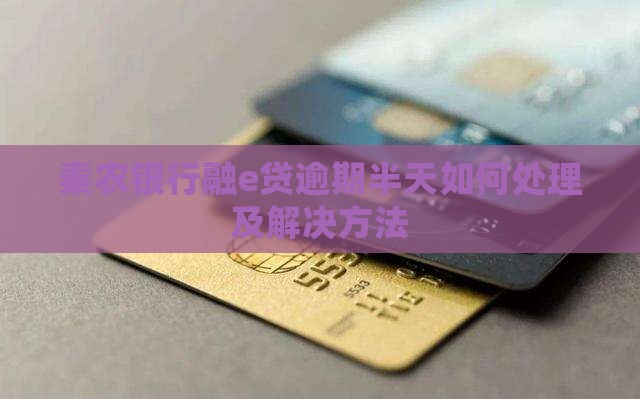 秦农银行融e贷逾期半天如何处理