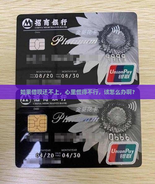 请问放心借还不上怎么办呢