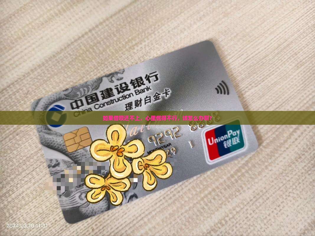 请问放心借还不上怎么办呢