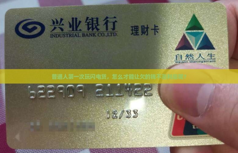 闪电贷可以停息挂账吗的规定是什么