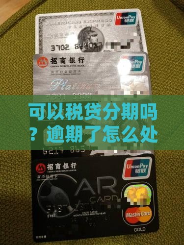 税贷还不上能分期吗怎么办