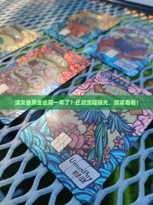 浦发备用金逾期一年怎么办还款流程