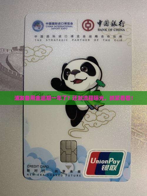 浦发备用金逾期一年怎么办还款流程