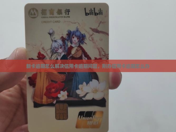 新卡逾期怎么解决信用卡逾期问题