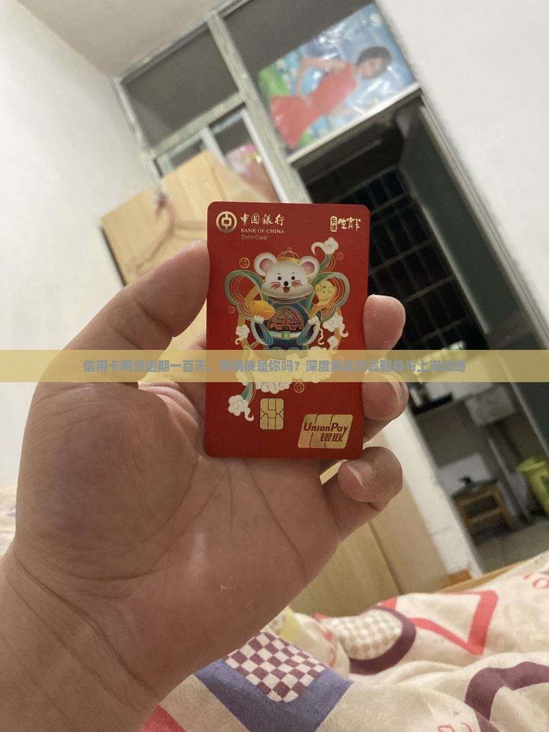 信用卡网贷逾期一百天责任在谁身上