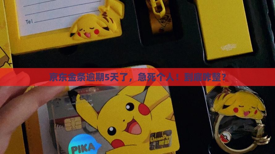 京东金条逾期5天应该怎么处理