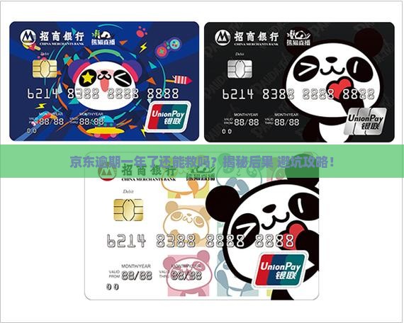 京东逾期还款一年了会怎样