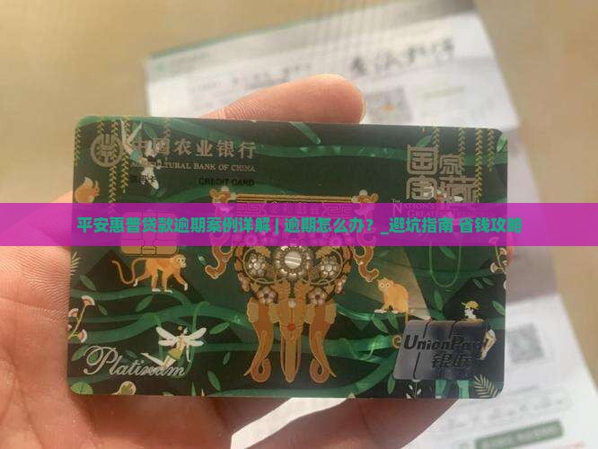 平安惠普贷款逾期案例详解