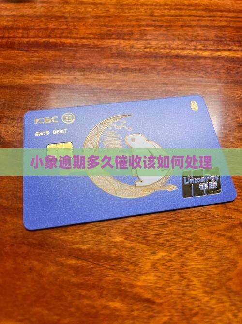 小象逾期多久催收该如何处理