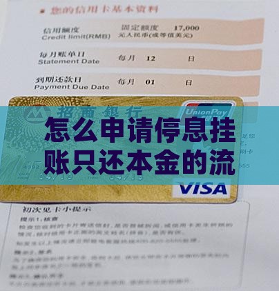 怎么申请停息挂账只还本金操作流程介绍