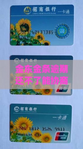 金东金条逾期还不了能协商吗