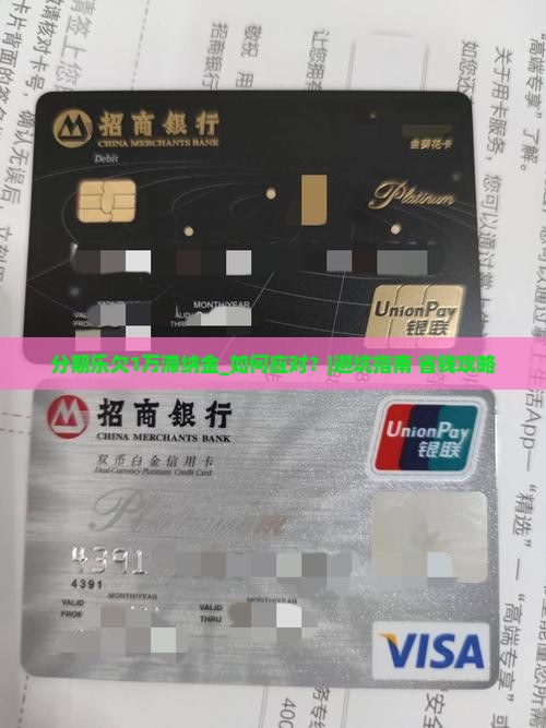 分期乐欠1万滞纳金