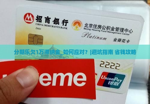 分期乐欠1万滞纳金