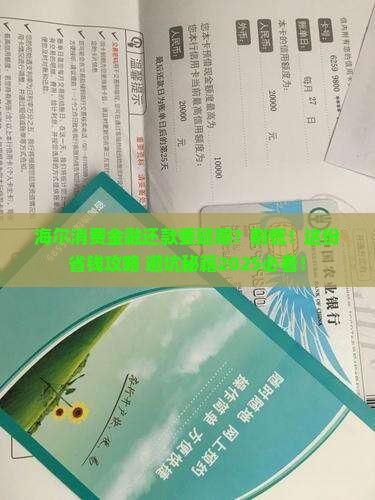 海尔消费金融延期还款申请流程及注意事项