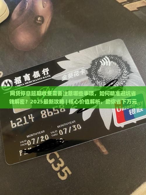 网贷停息延期收费需要注意哪些事项