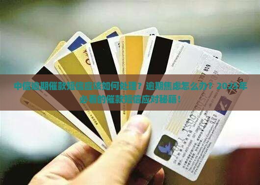 中信逾期催款短信应该如何处理