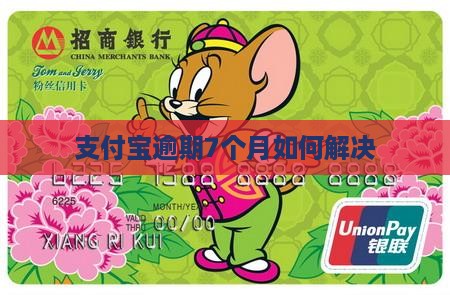 支付宝逾期7个月如何解决