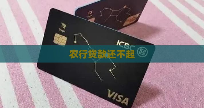 农行贷款还不起