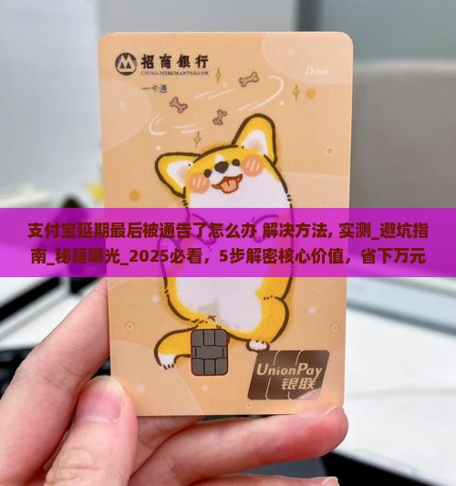 支付宝延期最后被通告了怎么办解决方法