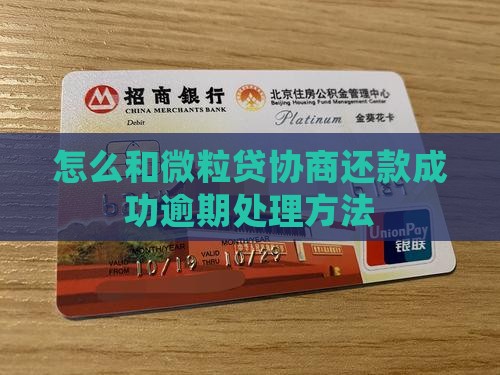 怎样和微粒贷协商还款成功