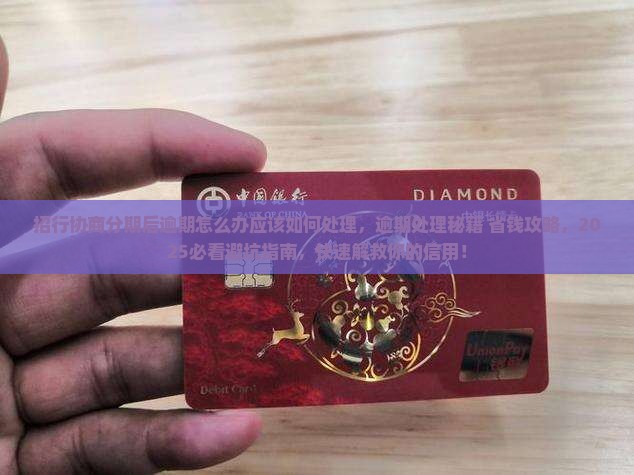 招行协商分期后逾期怎么办应该如何处理