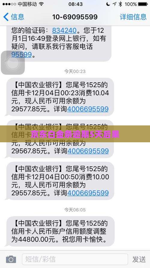京东白金条逾期5天后果