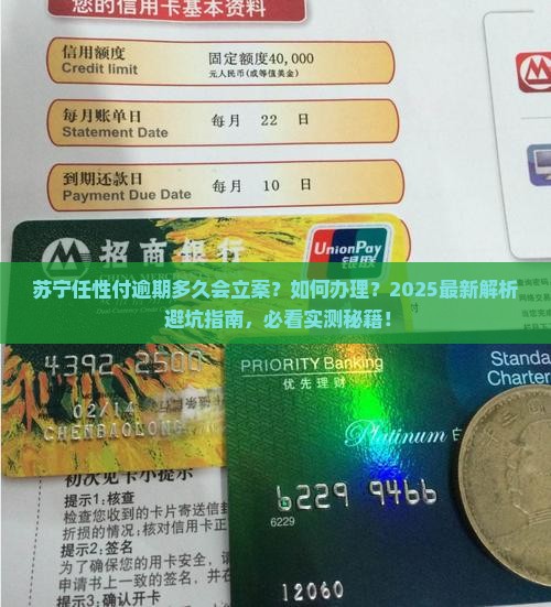 苏宁任性付逾期多久会立案怎么办理