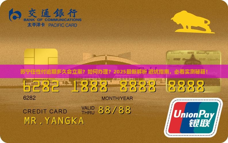 苏宁任性付逾期多久会立案怎么办理