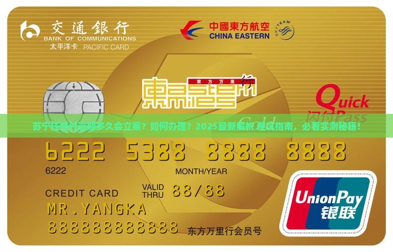 苏宁任性付逾期多久会立案怎么办理