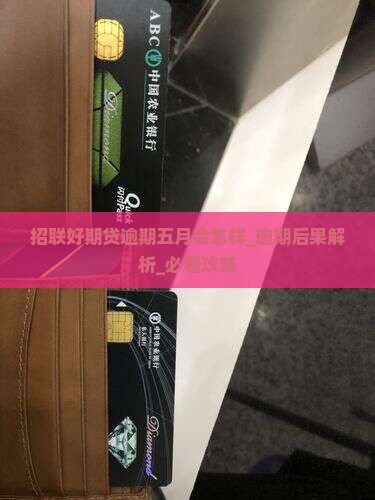 招联好期贷逾期五月会怎样