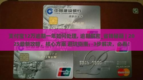 支付宝12万逾期一年如何处理