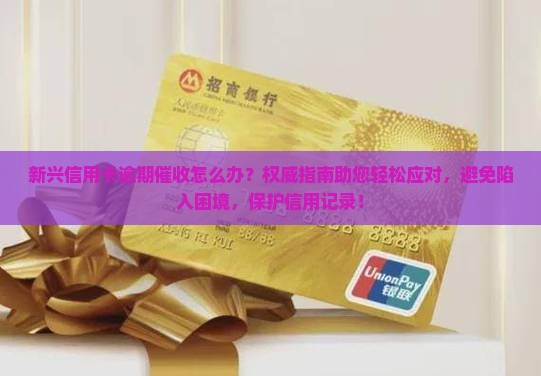 新兴信用卡逾期催收怎么办