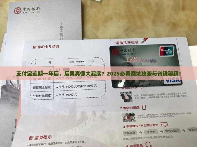 支付宝逾期一年以后会有什么后果