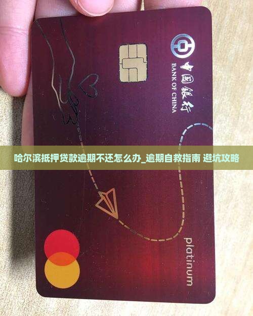哈尔滨抵押贷款逾期不还怎么办