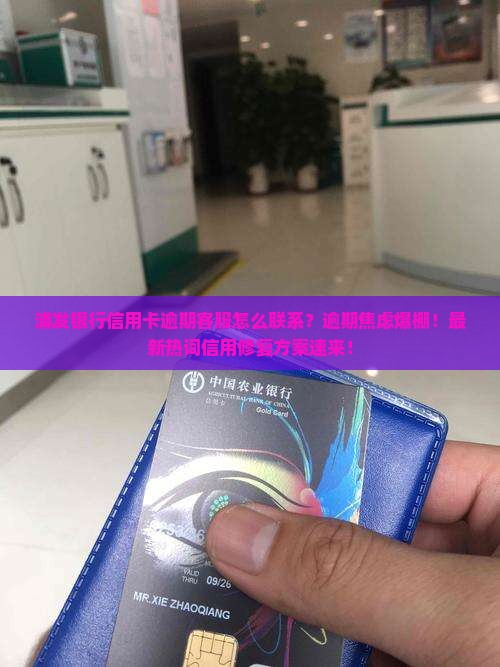 浦发银行信用卡逾期客服怎么联系