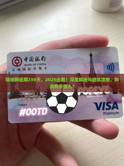 嗨钱网逾期230天