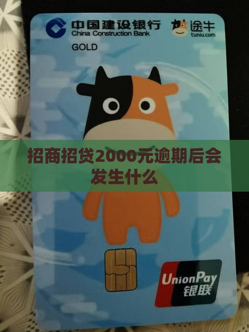 招商e招贷2000元逾期后会发生什么